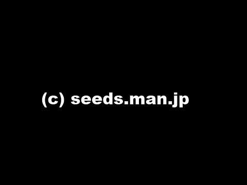 http://seedsman.jp/gardenblog/jpg-pink/stocks_matthiola_nightscentedstock1-thumb.jpg